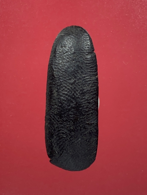 พระลีลาข้างเม็ดหลวงพ่อกวย วัดโฆสิตาราม จ.ชัยนาท