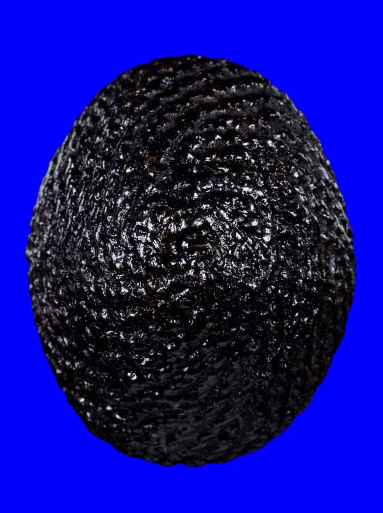 เบี้ยแก้ห่วงทองแดง หลวงปู่เจือ ปิยะสีโล วัดกลางบางแก้ว จ.นครปฐม