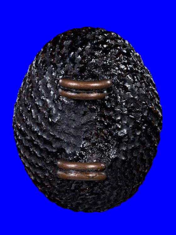 เบี้ยแก้ห่วงทองแดง หลวงปู่เจือ ปิยะสีโล วัดกลางบางแก้ว จ.นครปฐม