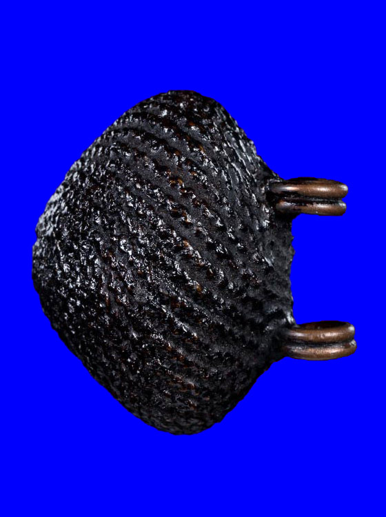 เบี้ยแก้ห่วงทองแดง หลวงปู่เจือ ปิยะสีโล วัดกลางบางแก้ว จ.นครปฐม