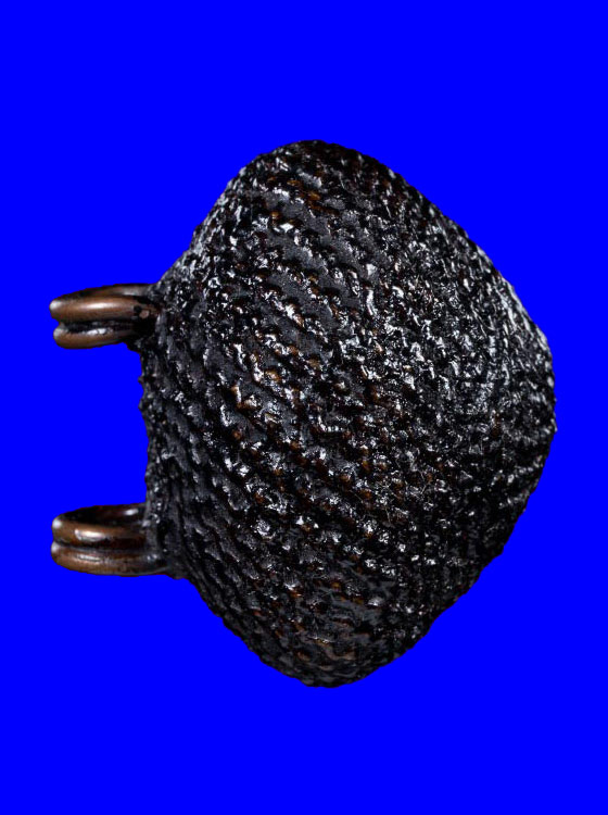 เบี้ยแก้ห่วงทองแดง หลวงปู่เจือ ปิยะสีโล วัดกลางบางแก้ว จ.นครปฐม