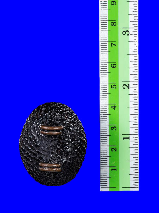 เบี้ยแก้ห่วงทองแดง หลวงปู่เจือ ปิยะสีโล วัดกลางบางแก้ว จ.นครปฐม