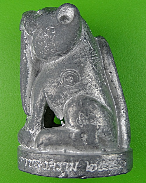 เสือเขี้ยวดาบ(ใหญ่) วัดปริวาสราชสงคราม กทม. .878. 