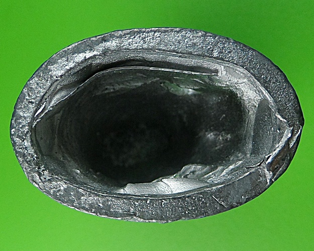 เสือเขี้ยวดาบ(ใหญ่) วัดปริวาสราชสงคราม กทม. .878. 