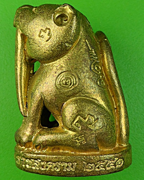 เสือเขี้ยวดาบ(ใหญ่) วัดปริวาสราชสงคราม กทม. .879.