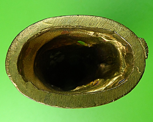 เสือเขี้ยวดาบ(ใหญ่) วัดปริวาสราชสงคราม กทม. .879.