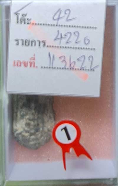 พระนารายณ์สีากร ศิลป์ลพบุรี มาพร้อมใบประกาศรางวัลที่ 1