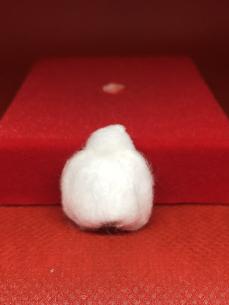 พญาเต่ามหาลาภ พระอาจารย์พีระ วัดสันป่าตาล ลำพูน