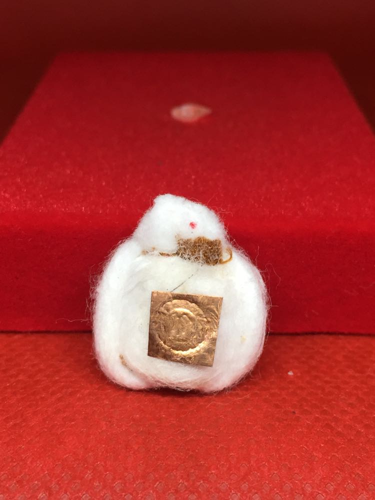 พญาเต่ามหาลาภ พระอาจารย์พีระ วัดสันป่าตาล ลำพูน