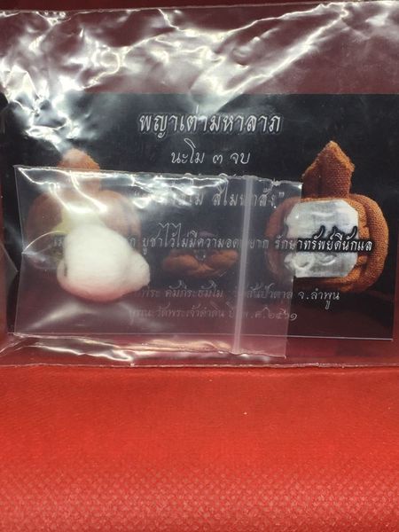 พญาเต่ามหาลาภ พระอาจารย์พีระ วัดสันป่าตาล ลำพูน