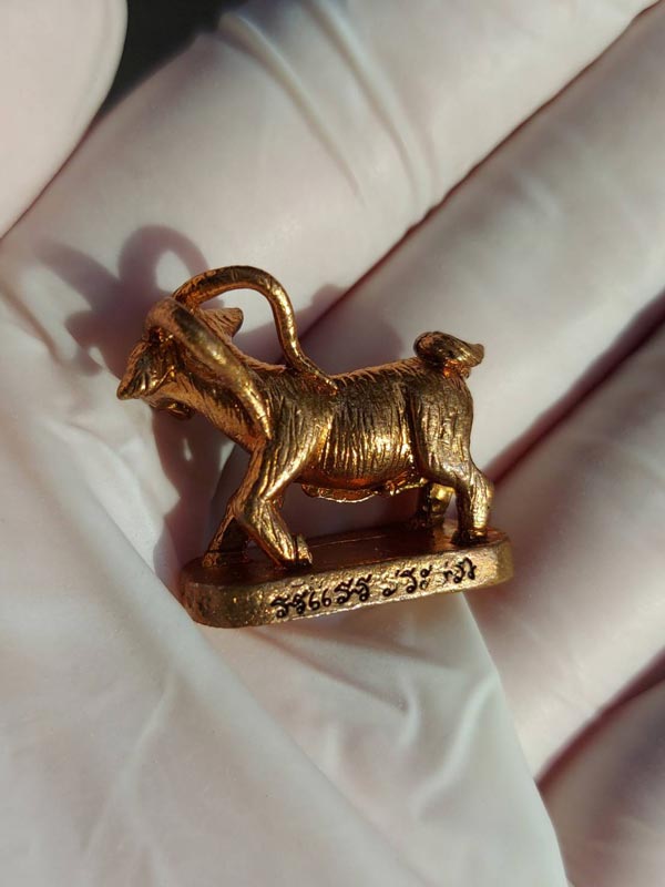 แพะเหลียวหลัง เสยสาว หลวงปู่อาด วัดบุญสัมพันธ์ ชลบุรี เนื้อชนวนสตางค์แดง