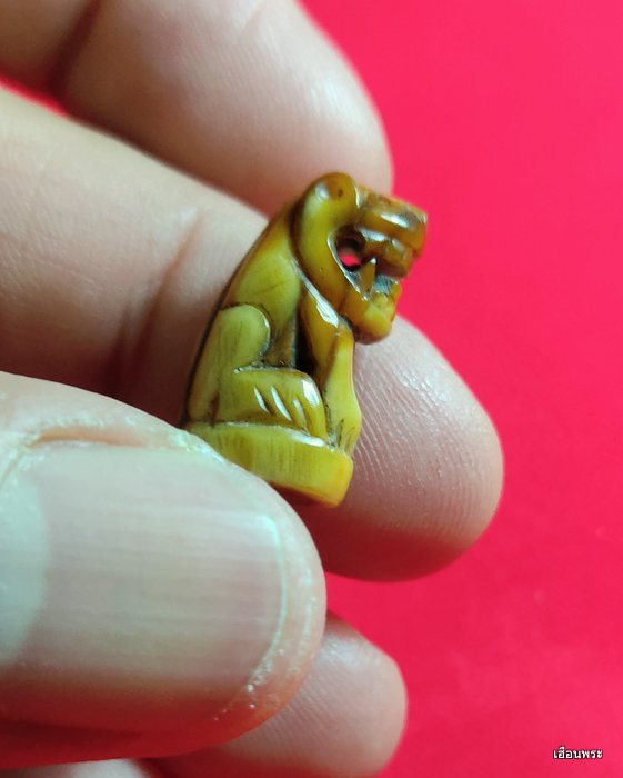 เขี้ยวเสือไฟ แกะเก่า