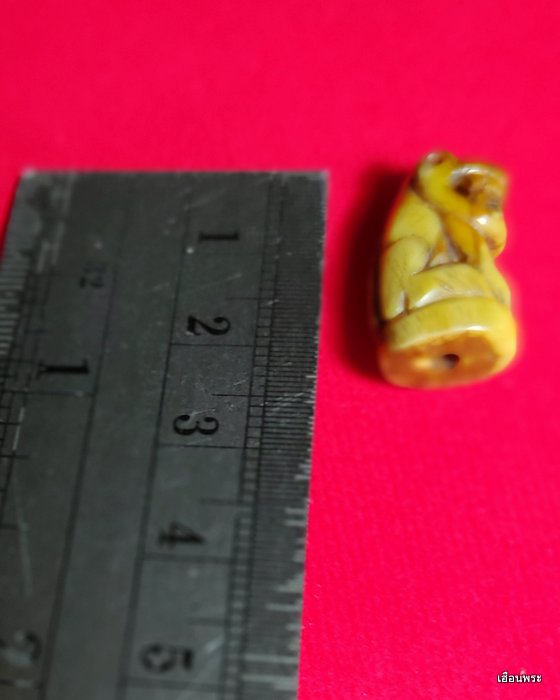 เขี้ยวเสือไฟ แกะเก่า