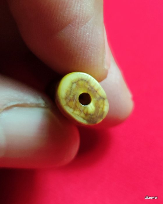 เขี้ยวเสือไฟ แกะเก่า