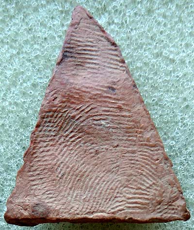 *นางพญา เนื้อดิน ปี๒๔๙๕ หลวงพ่อแฉ่ง วัดบางพัง นนทบุรี*