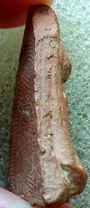 *นางพญา เนื้อดิน ปี๒๔๙๕ หลวงพ่อแฉ่ง วัดบางพัง นนทบุรี*