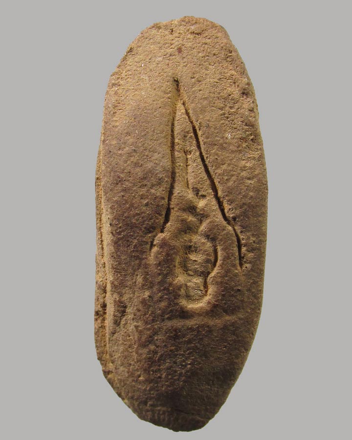  พระผงภูธราวดี สร้างเมืองนครศรีฯ พิธีใหญ่นครปฐม ปี2506