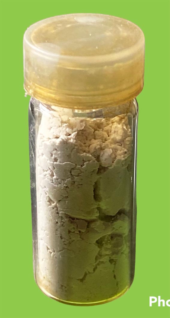 ผงว่านช้างผสมโขลง มหาเสน่ห์ อาจารย์ชุม ไชยคีรี