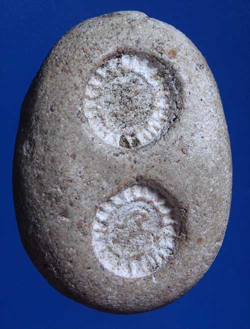 พระกรุพิมพ์เรือบรือ หลวงปู่เอี่ยม วัดสะพานสูง จ.นนทบุรี