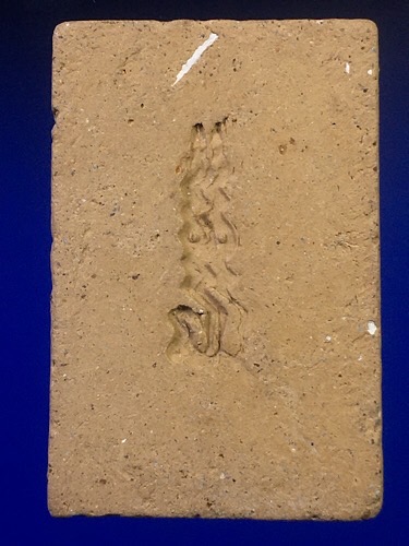 พระสมเด็จนะฤาชา หลวงพ่อสำเนียง วัดเวฬุวนาราม เนื้อดิน ปี 2496 จ.นครปฐม