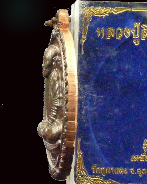 เหรียญเหนือดวงหลวงปู่ลี วัดภูผาแดง เนื้อทองแดง ปี ๒๕๕๖