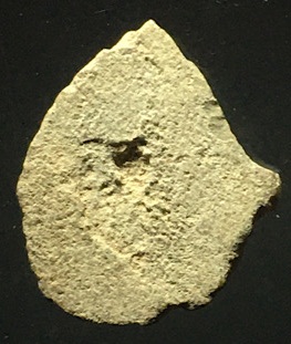 พระผงกลีบบัว พระครูใบฎีกาเกลี้ยง วัดสุทัศน์ ปี 2475