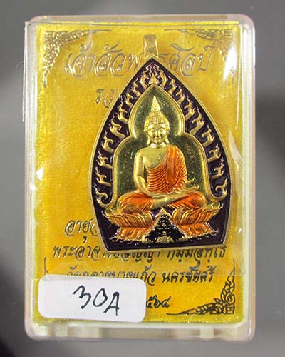 เหรียญเจ้าสัวปั้ม รวยพันล้าน พระอาจารย์สัญญา(คง) วัดกลางบางแก้ว เนื้อทองทิพย์ลงยาม่วง เลข 304
