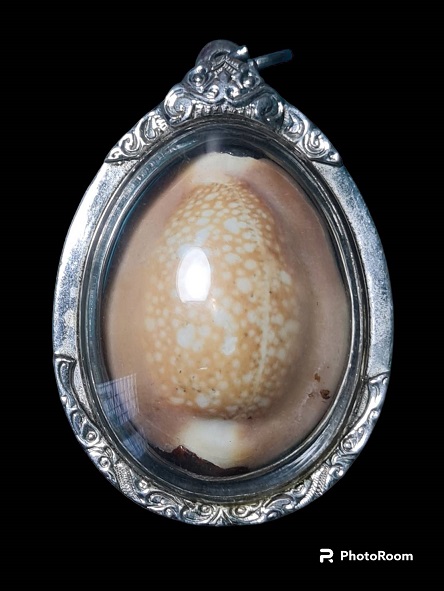 เบี้ยแก้หลวงพ่อซำ วัดตลาดใหม่ อ่างทอง