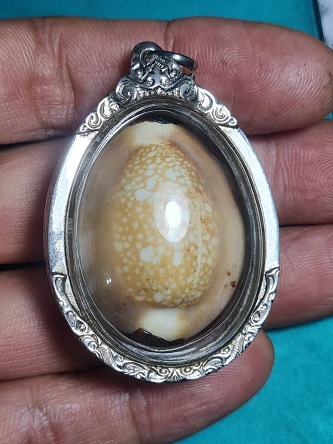 เบี้ยแก้หลวงพ่อซำ วัดตลาดใหม่ อ่างทอง