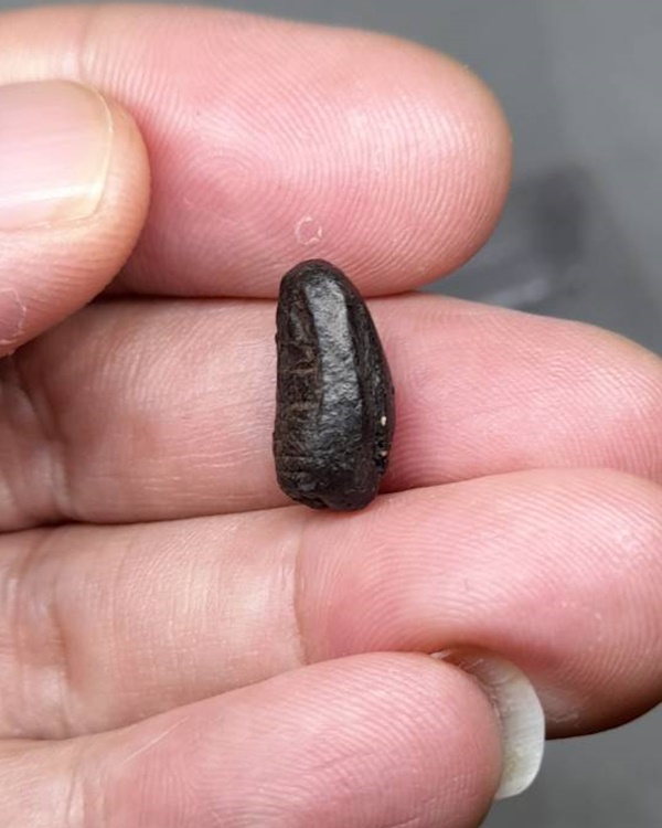 พระคงจิ๋ว หลวงพ่อพริ้ง วัดบางปะกอก กทม.เนื้อผงคลุกรัก  