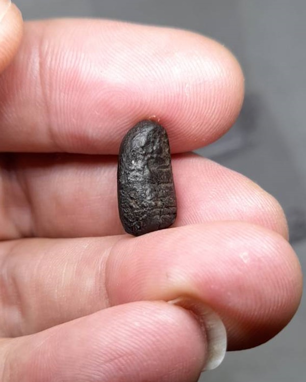 พระคงจิ๋ว หลวงพ่อพริ้ง วัดบางปะกอก กทม.เนื้อผงคลุกรัก  