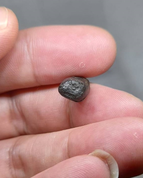 พระคงจิ๋ว หลวงพ่อพริ้ง วัดบางปะกอก กทม.เนื้อผงคลุกรัก  