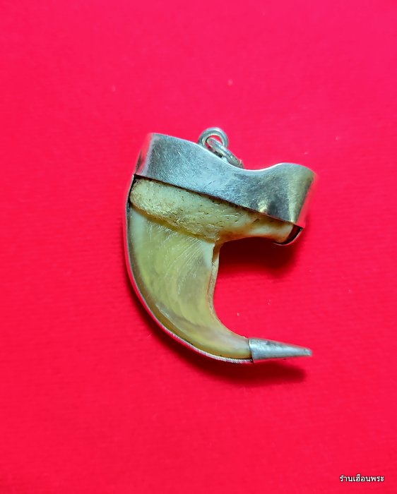 เครื่องราง เล็บเสือโคร่งเก่าๆ เลี่ยมเงินสวยแท้ๆ