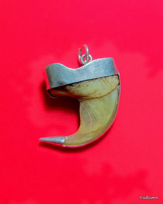 เครื่องราง เล็บเสือโคร่งเก่าๆ เลี่ยมเงินสวยแท้ๆ