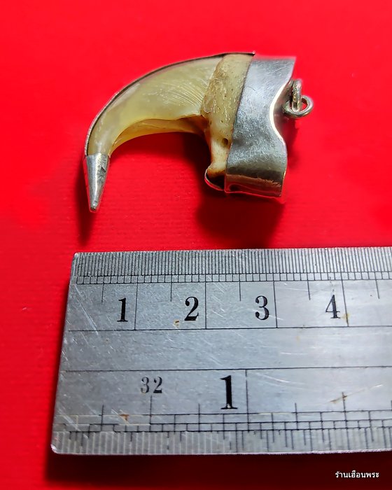 เครื่องราง เล็บเสือโคร่งเก่าๆ เลี่ยมเงินสวยแท้ๆ