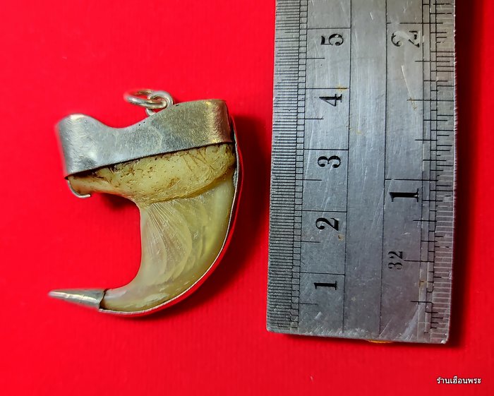 เครื่องราง เล็บเสือโคร่งเก่าๆ เลี่ยมเงินสวยแท้ๆ