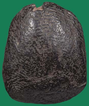 *พระปิดตา หลวงพ่อชื้อ วัดชนะสงสารฯ ฉะเชิงเทรา เนื้อผงคลุกรัก*