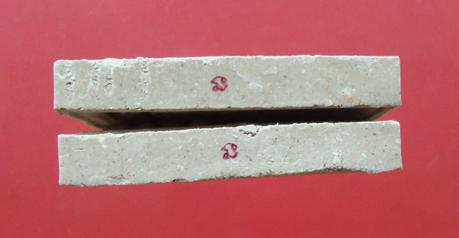 พระสมเด็จผงพรายกุมารหลังยันต์ห้าฝังพลอย ปี 2552 หลวงพ่อสาคร วัดหนองกรับ