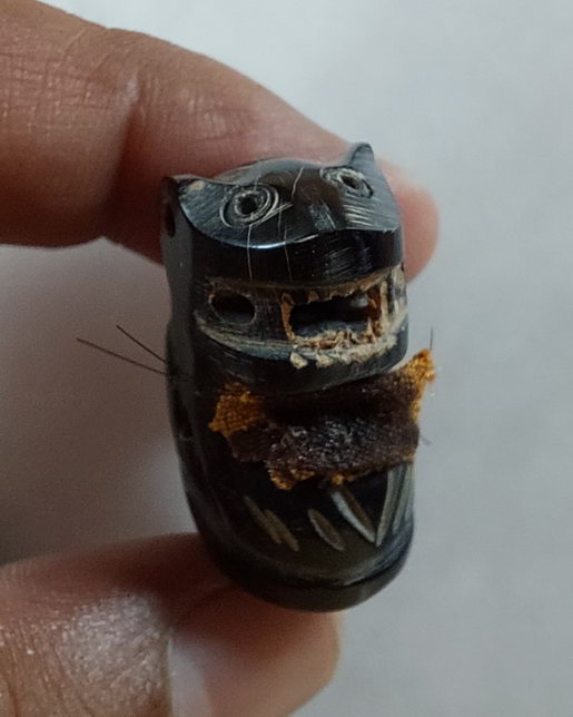 " เสือเขาควายแกะ รุ่นแรก 7 รอบ หลวงปู่สำลี สุทธจิตโต วัดถ้ำคูหาวารี จ.เลย ศิษย์หลวงปู่หลุย จันทสาโร 