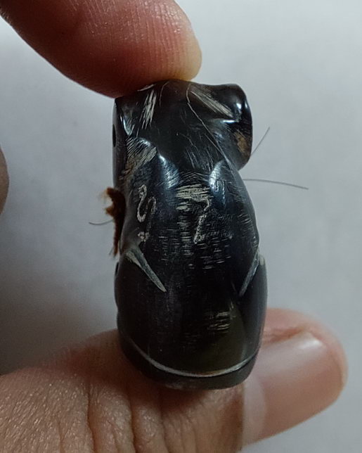 " เสือเขาควายแกะ รุ่นแรก 7 รอบ หลวงปู่สำลี สุทธจิตโต วัดถ้ำคูหาวารี จ.เลย ศิษย์หลวงปู่หลุย จันทสาโร 