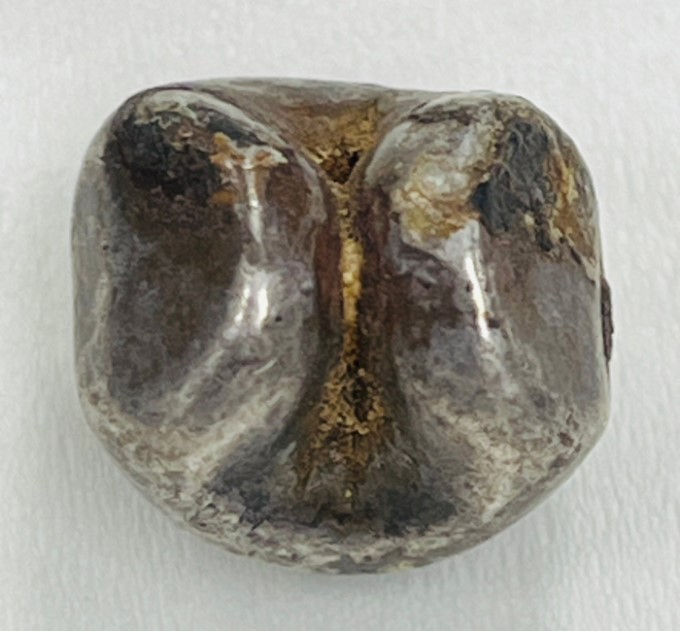 พดด้วงเงิน ตราพระแสงจักร - พระมหาอุณาโลม สมัยรัชกาลที่ 1 ขนาด1บาท