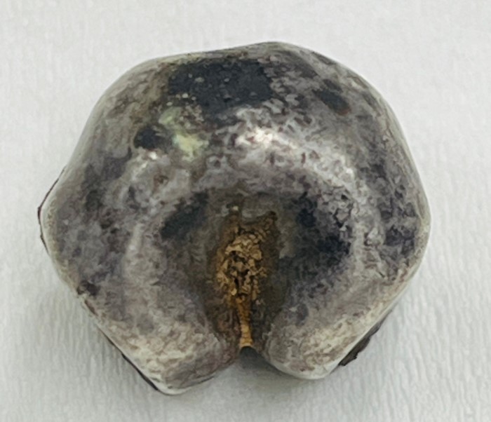 พดด้วงเงิน ตราพระแสงจักร - พระมหาอุณาโลม สมัยรัชกาลที่ 1 ขนาด1บาท