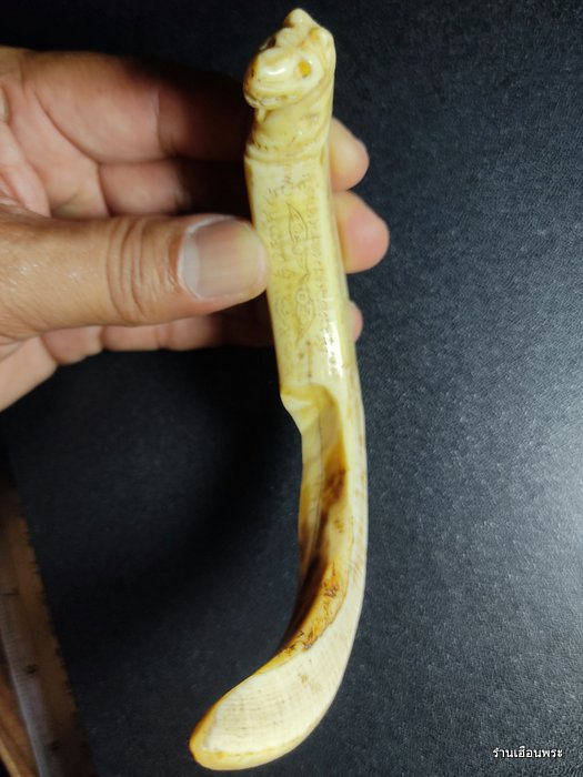 เขี้ยวหมูป่าตัน แกะเสือ หลวงพ่อไสว วัดปรีคาราม จ.นครปฐม 