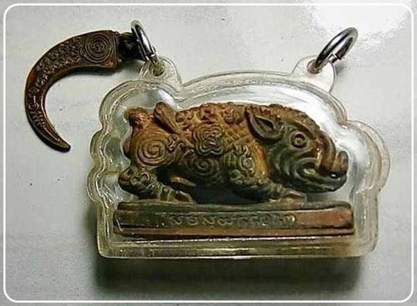 พญาหมูพลิกแผ่นดินรุ่น 2 หลวงปู่กาหลงเขี้ยวแก้ว 