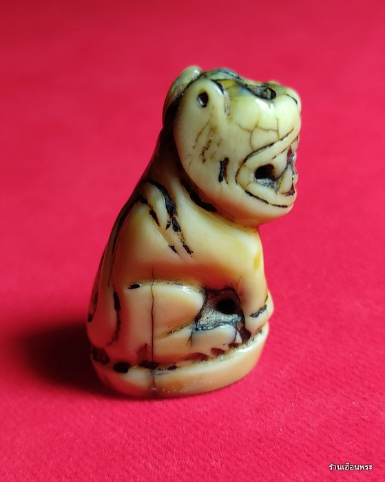 เขี้ยวเสือแกะศิลป์หลวงพ่อปาน วัดบางเหี้ย พิมพ์อ้าปาก จ.สมุทรปราการ