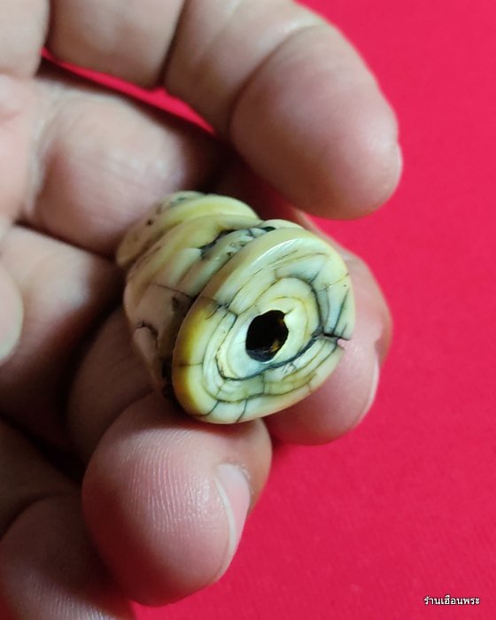 เขี้ยวเสือแกะศิลป์หลวงพ่อปาน วัดบางเหี้ย พิมพ์อ้าปาก จ.สมุทรปราการ