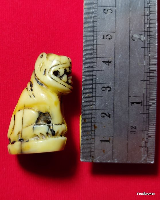 เขี้ยวเสือแกะศิลป์หลวงพ่อปาน วัดบางเหี้ย พิมพ์อ้าปาก จ.สมุทรปราการ