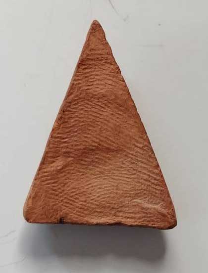 พระนางพญา หลวงพ่อแฉ่ง วัดบางพัง เนื้อดิน