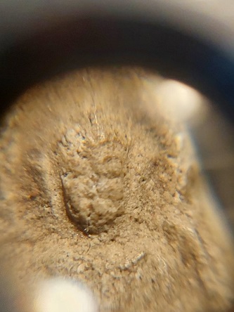 พระหลวงพ่อโบสถ์น้อย วัดอัมรินทร์ รุุ่นแรก 2488 เนื้อผง