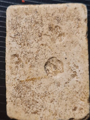 สมเด็จวัดโพธิ์เกรียบ 